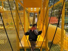 -合肥滨湖国家森林公园