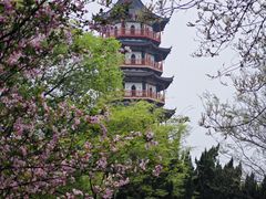 -绳金塔