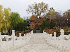 -迎泽公园