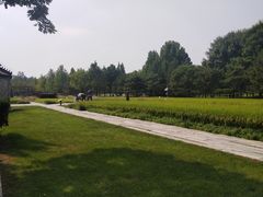 -北坞公园