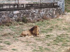 -宁波野生动物园