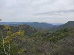 -大岭沟猕猴桃谷风景区