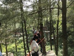 -梦幻奥陶纪景区