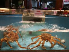 -忆江南·临江鱼馆