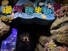 -南昌海洋公园