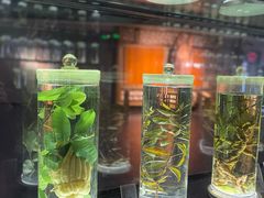 -广东中医药博物馆
