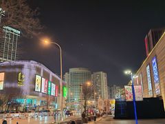 -鹏欣水游城