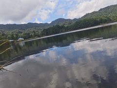 -海南热带雨林国家公园吊罗山景区