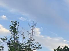 -傣妹火锅(四川北路店)