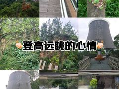 -福道