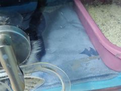 -半岛宠物医院24小时(科华中路店)