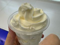 牛奶冰淇淋-白色日记·手作酸奶(麦凯乐店)