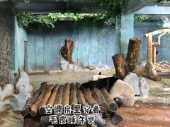 -海南热带野生动植物园