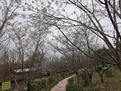 -周浦花海-停车场