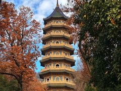 -灵谷景区
