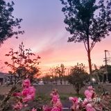 不愧是你！南京史诗级瑰丽晚霞