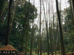 -凤栖山