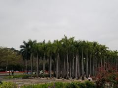 -深圳国际园林花卉博览园