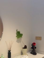 -WENDY·温迪皮肤管理