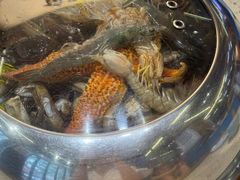 -船梆煮•蒸汽海鲜·炉火烤肉(五四广场店)