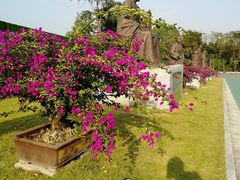 -广西壮族自治区药用植物园