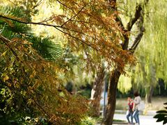 -苏州河梦清园环保主题公园