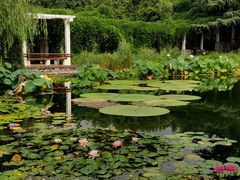 -国家植物园南园