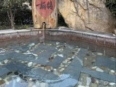 -金孔雀温泉旅游度假村