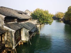 -乌镇西栅景区