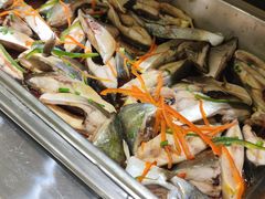 -锦粤宫·精致粤菜(阳西店)