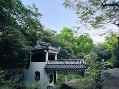 -深圳国际园林花卉博览园