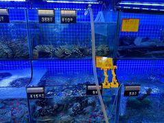 -温岭人家(红花北路店)