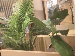 -沼津港精致料理·寿喜烧·烧鸟(漕河泾印象城店)