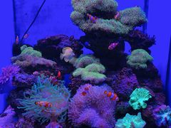 -多彩贵州城极地海洋世界