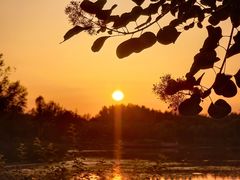 -东郊湿地公园