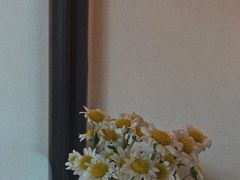 -常识咖啡common sense(春熙路店)