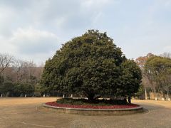 -灵谷景区