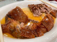 -万年酒楼(越秀南路店)