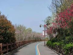 -杭州半山国家森林公园