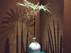 -青藤茶馆(凤起路店)