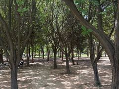 -洨河生态公园