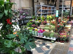 -秦美花卉(天朗·莱茵小城2期店)