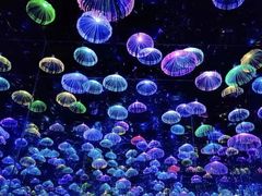 -武汉5D星空错觉艺术馆(中心百货店)
