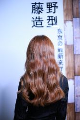 点击看大图 -藤野造型