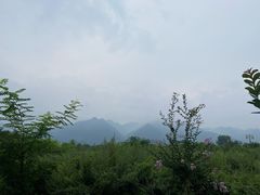 -终南山古楼观历史文化景区
