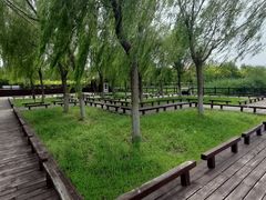 -西青郊野公园