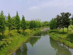 -眉山湿地公园(东坡区)