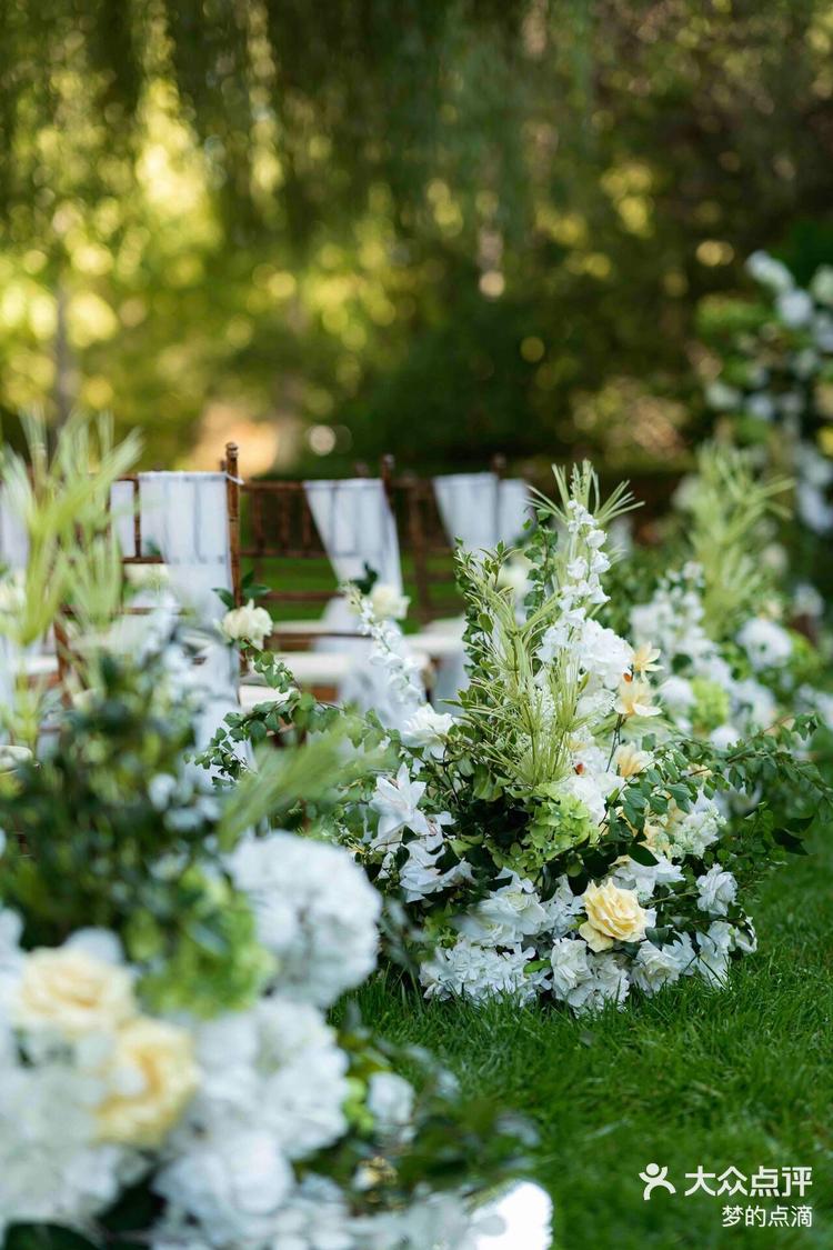电影感森系草坪婚礼