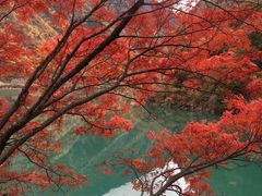 -叠溪松坪沟景区