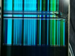 -包子大王(新泽巷店)